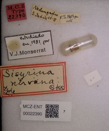 Media type: image;   Entomology 22390 Aspect: labels
